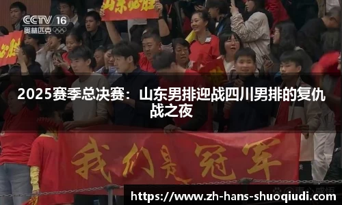 2025赛季总决赛：山东男排迎战四川男排的复仇战之夜